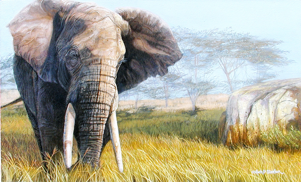 Mark Slawson Bull Elephant