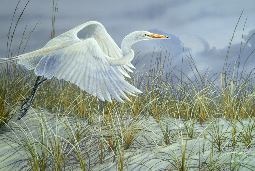 Mark Slawson White Egret in Flight