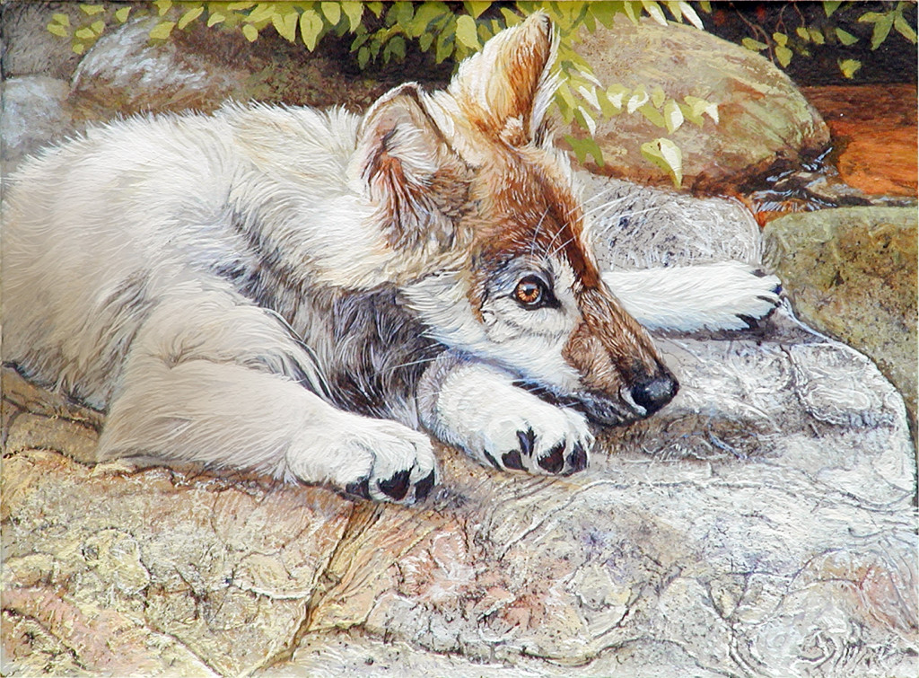 Mark Slawson Wolf Pup