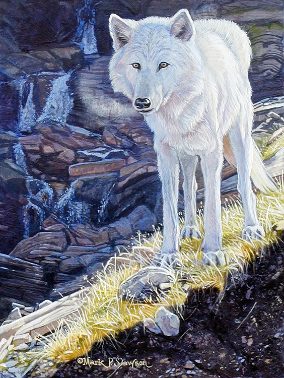 Mark Slawson White Wolf