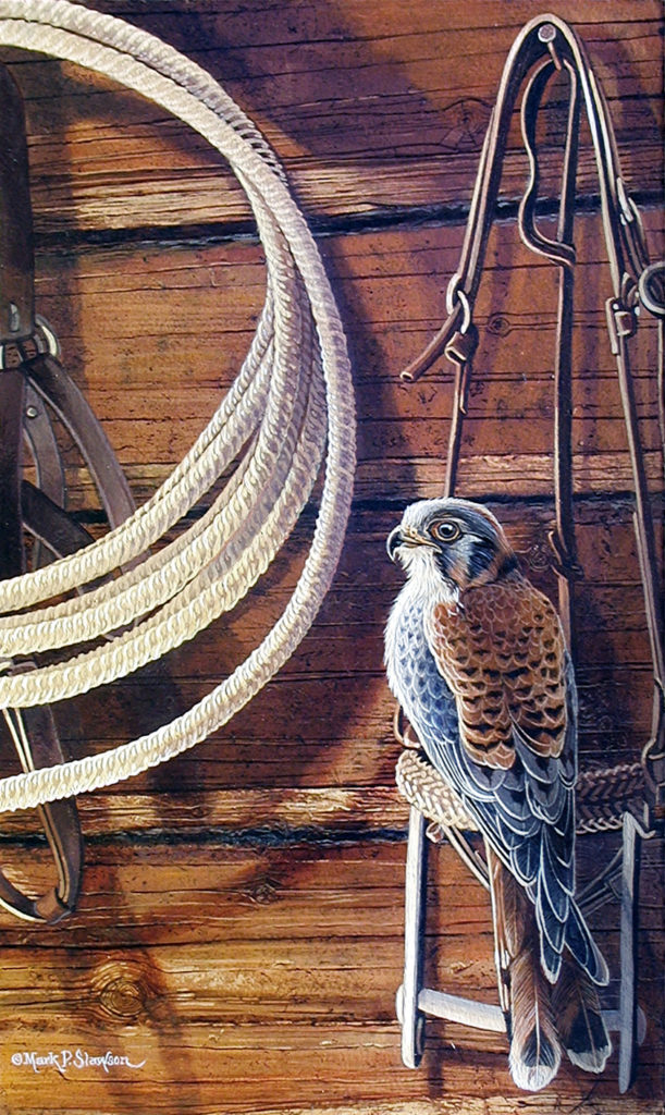 Kestrel bird painting