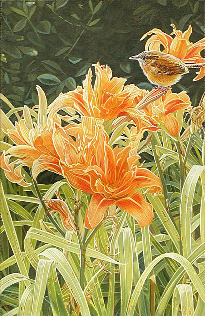 Wren with Lillies