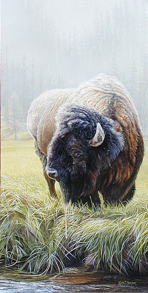 Mark Slawson Lone Bison Bull