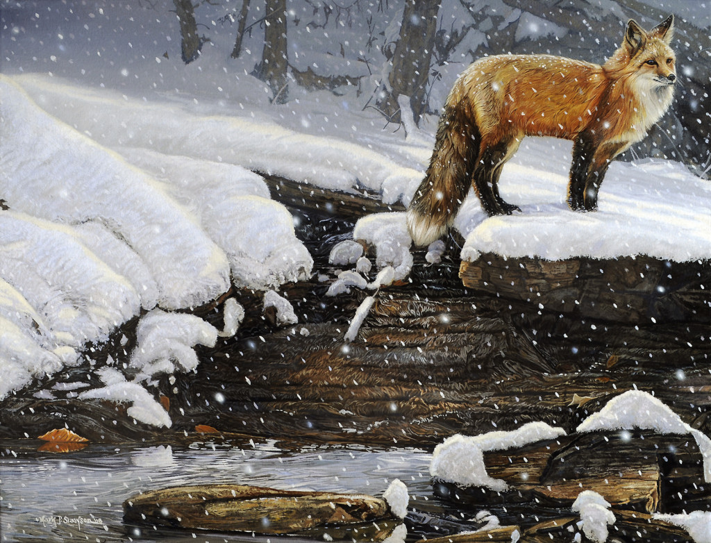 Mark Slawson Red Fox in the Snow