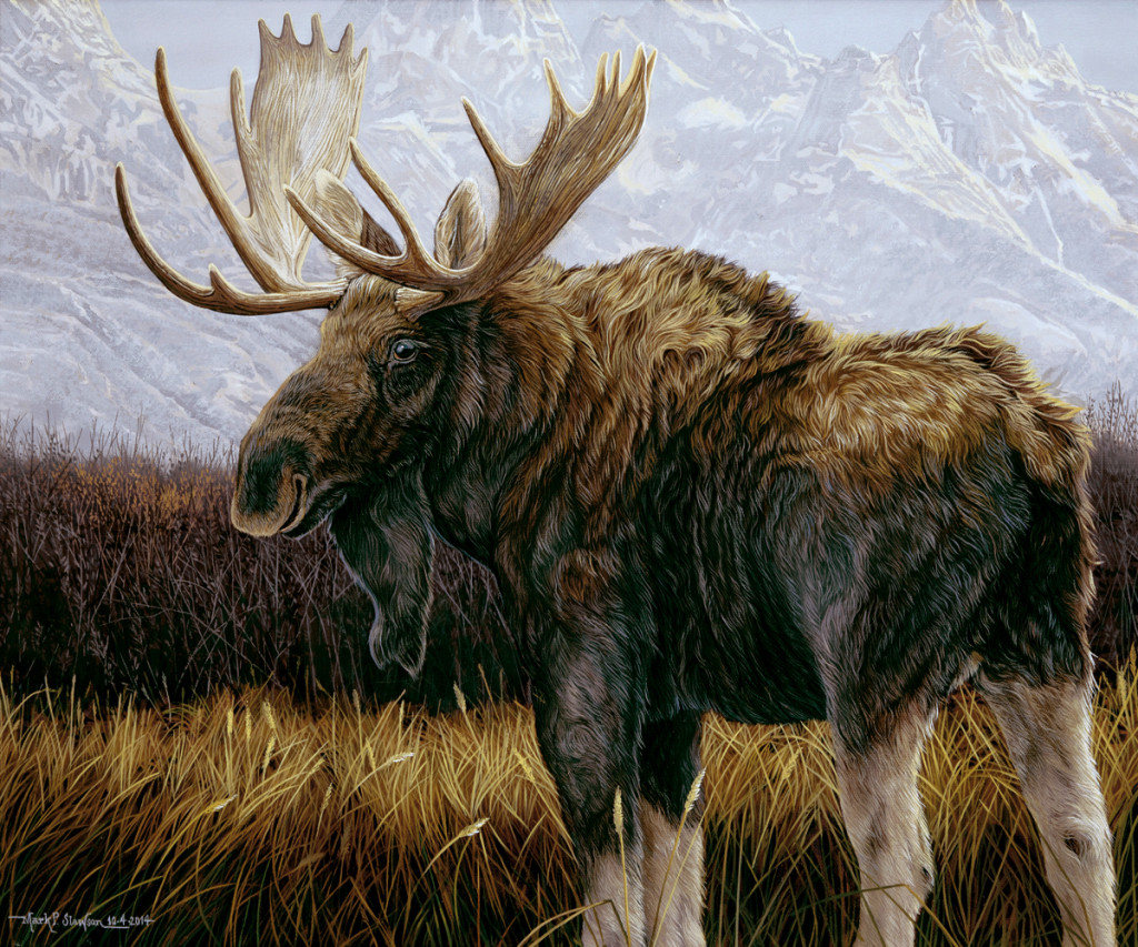 Mark Slawson Moose
